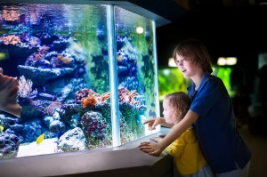 Acuario de Mazatlán