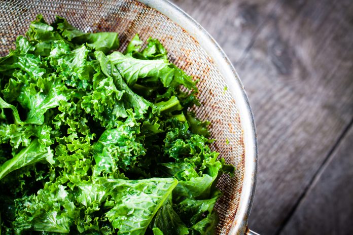 [Receta] Prepara unos saludables chips de kale